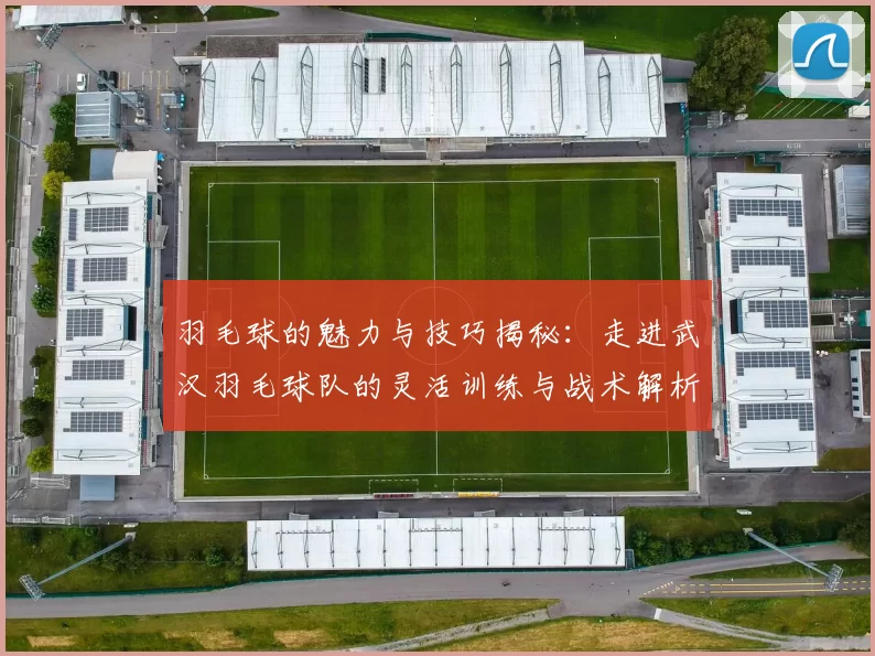 羽毛球的魅力与技巧揭秘：走进武汉羽毛球队的灵活训练与战术解析