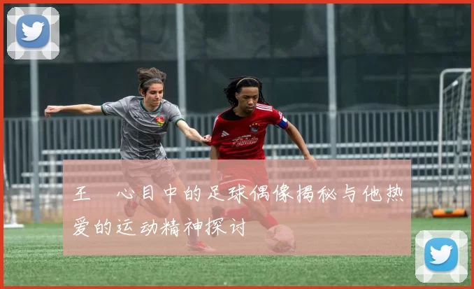 王濛心目中的足球偶像揭秘与他热爱的运动精神探讨