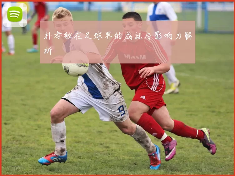 朴孝敏在足球界的成就与影响力解析