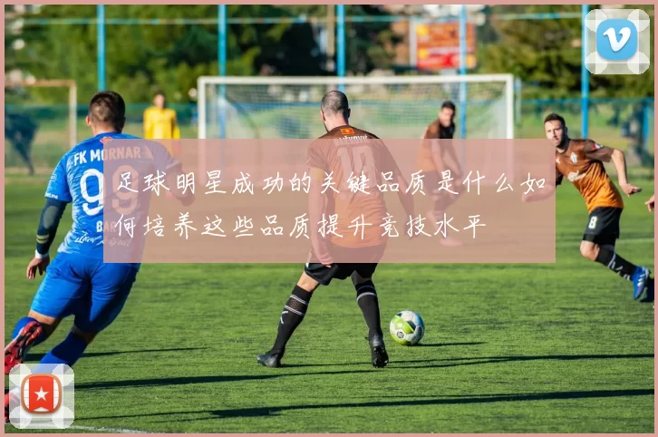足球明星成功的关键品质是什么如何培养这些品质提升竞技水平