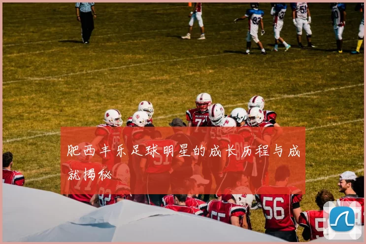 肥西丰乐足球明星的成长历程与成就揭秘