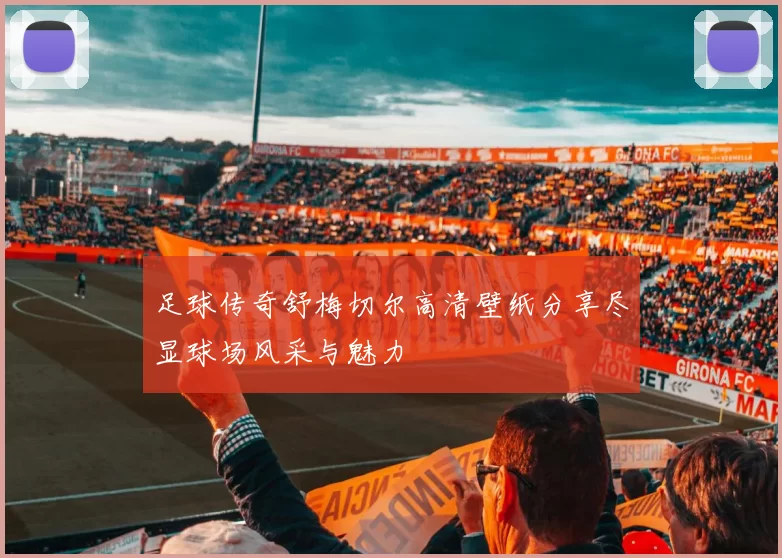 足球传奇舒梅切尔高清壁纸分享尽显球场风采与魅力