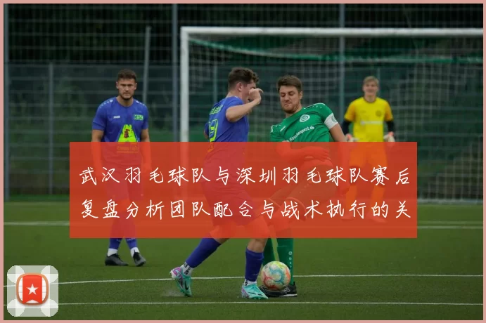 武汉羽毛球队与深圳羽毛球队赛后复盘分析团队配合与战术执行的关键因素