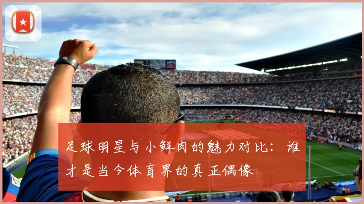 足球明星与小鲜肉的魅力对比：谁才是当今体育界的真正偶像